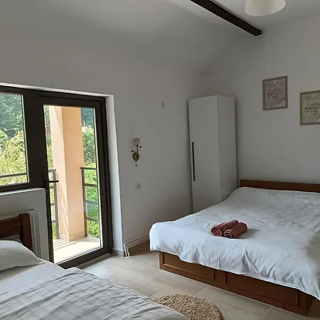 Homestay Casa Colt De Rai *